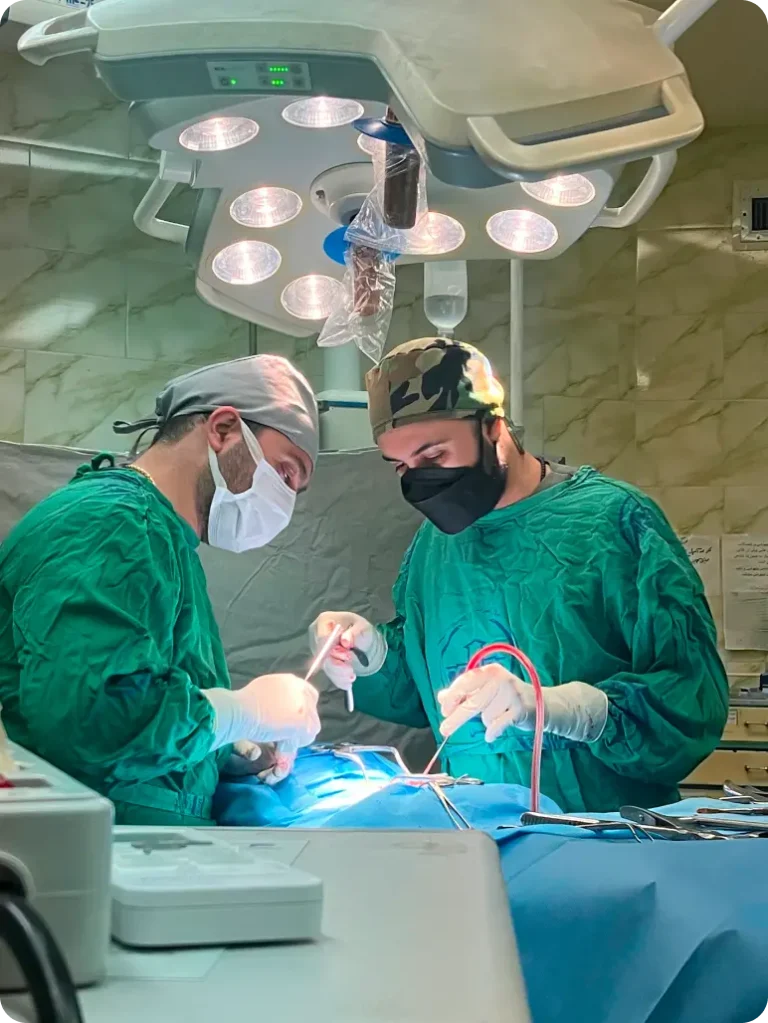 Frame 1410125434 (1)